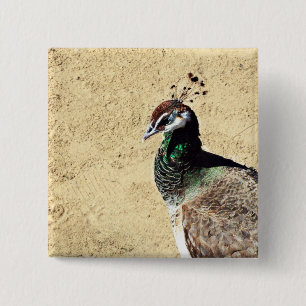 Peacock 15 Cm Square Badge
