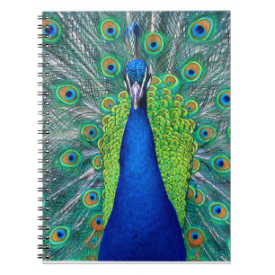 Peacock#1 Spiral Notebook