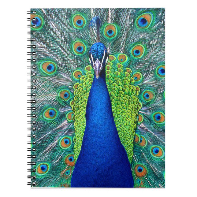 Peacock#1 Spiral Notebook (Front)