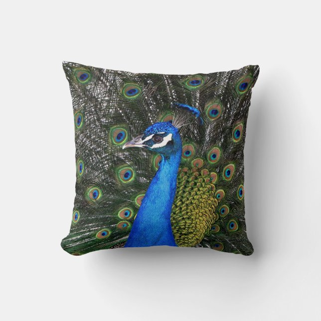 Peacock 20 X 20 Pillow (Front)