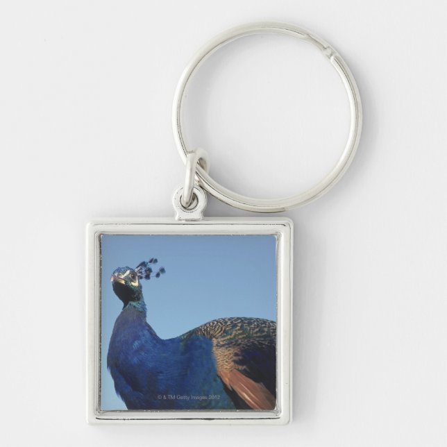 Peacock 2 key ring (Front)