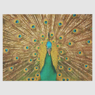 Peacock 2 Wall Art Decoupage Tissue Paper