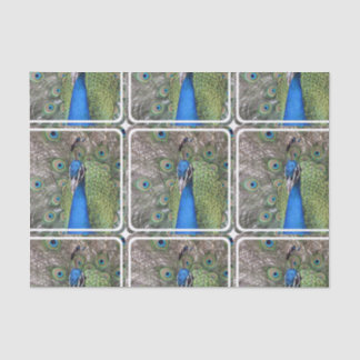 peacock-3.jpg tissue paper