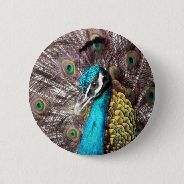 peacock 6 cm round badge (Front)