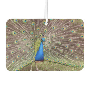 Peacock Air Freshener