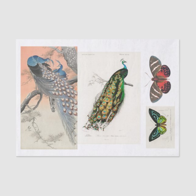 Peacock and butterfly decoupage tissue paper (Front)