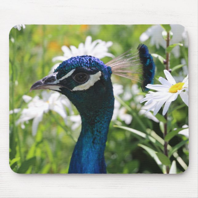 Peacock and Daisies Mouse Pad (Front)
