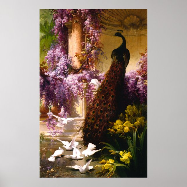 Peacock and Doves in a Garden Poster (Front)