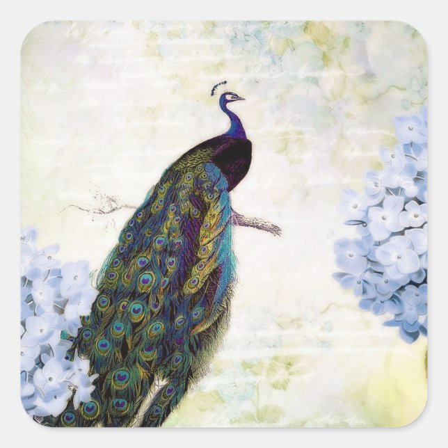 Peacock and hydrangea square sticker (Front)