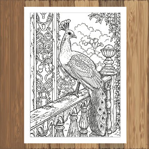 Peacock and Ornamental Garden Coloring Poster