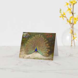 Peacock and Peacock Butterfly, Art Illustration Card