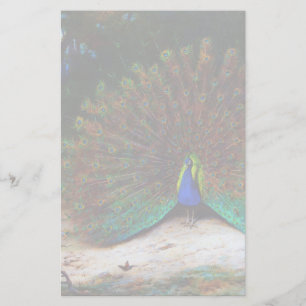 Peacock and Peacock Butterfly Stationery