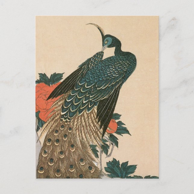 Peacock and Peonies by Hiroshige, Japanese Art Postcard (Front)