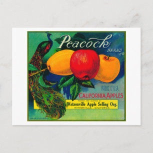 Peacock Apple Crate LabelWatsonville, CA Postcard