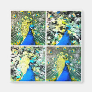 Peacock Art Magnet