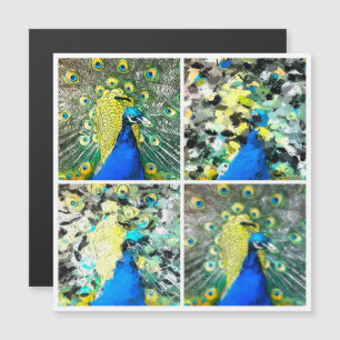 Peacock Art magnetic card