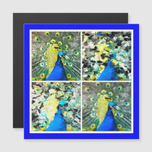 Peacock Art magnetic card