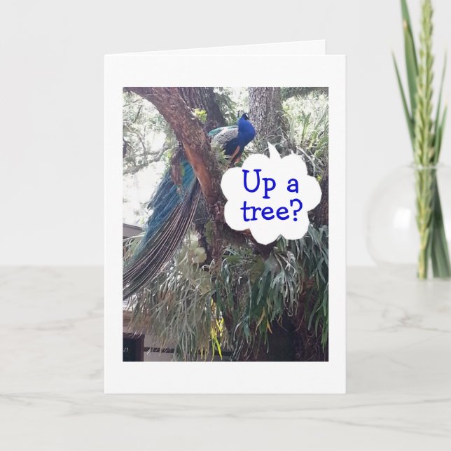 PEACOCK ASKS IF YOU ARE UP A TREE OVER BEING OLDER CARD (Front)