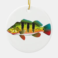 Peacock Bass bright Ocean Gamefish illustration