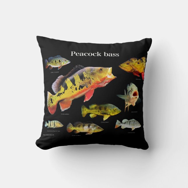Peacock bass , Eye-Spot Cichlid Cushion (Front)
