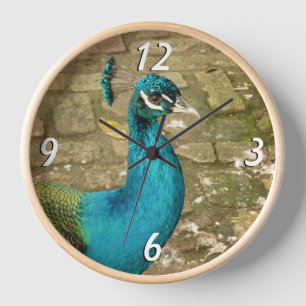 Peacock Beautiful Blue Bird Nature Photography Clock