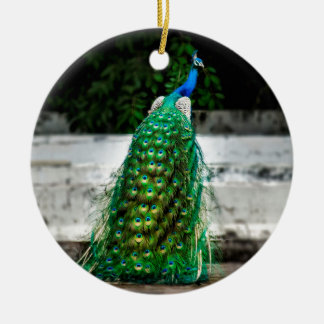 peacock beautiful feather art colours ceramic tree decoration