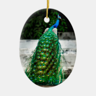 peacock beautiful feather art colours ceramic tree decoration