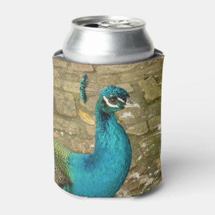 Peacock Beautiful Nature Photography Can Cooler