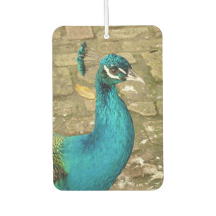 Peacock Beautiful Nature Photography Car Air Freshener