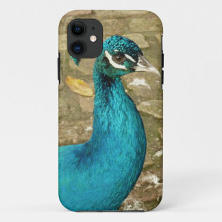 Peacock Beautiful Nature Photography Case-Mate iPhone Case