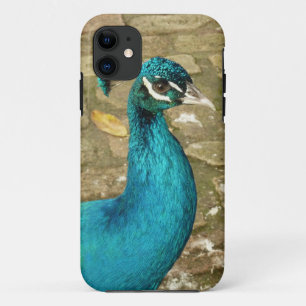 Peacock Beautiful Nature Photography Case-Mate iPhone Case