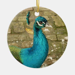 Peacock Beautiful Nature Photography Ceramic Tree Decoration