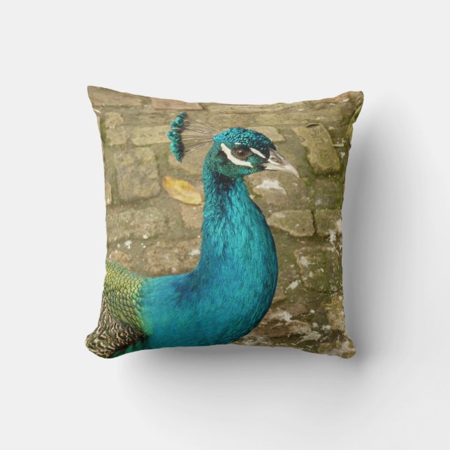 Peacock Beautiful Nature Photography Cushion (Front)