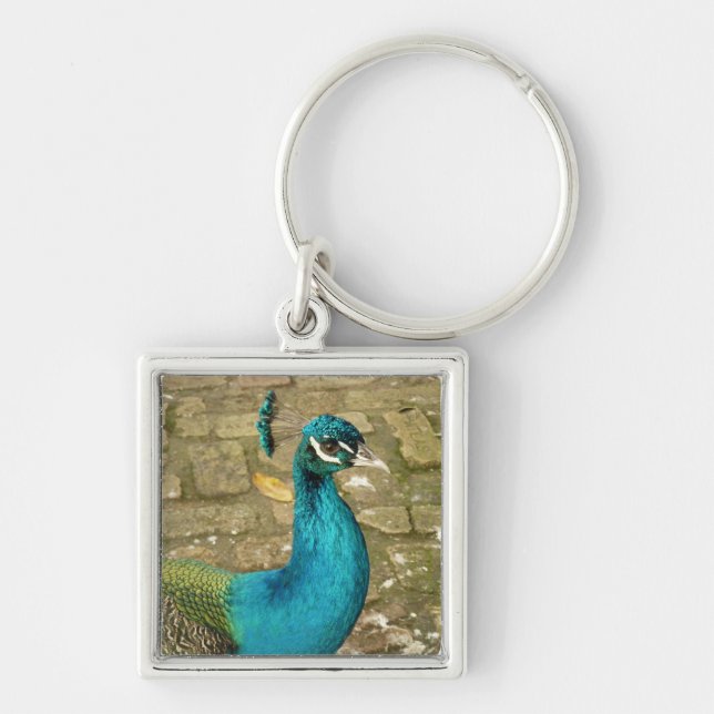 Peacock Beautiful Nature Photography Key Ring (Front)