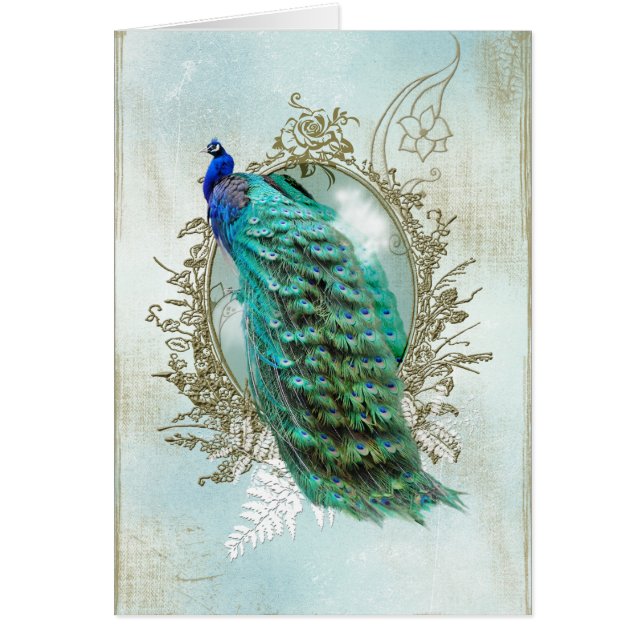 peacock beautiful turquoise vintage shabby bird (Front)