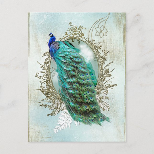 peacock beautiful turquoise vintage shabby bird postcard (Front)