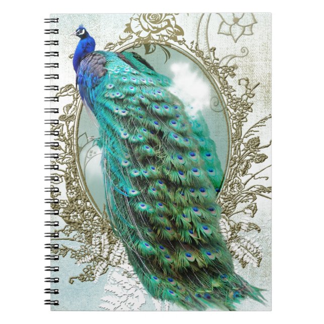 peacock beautiful turquoise vintage shabby bird spiral notebook (Front)