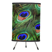 Peacock Bird Blue Green Feathers