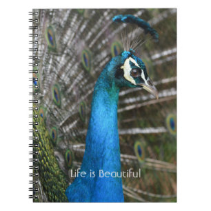 Peacock Bird Close Up Kauai (my photography) Notebook