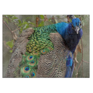 Peacock Bird Cutting Board
