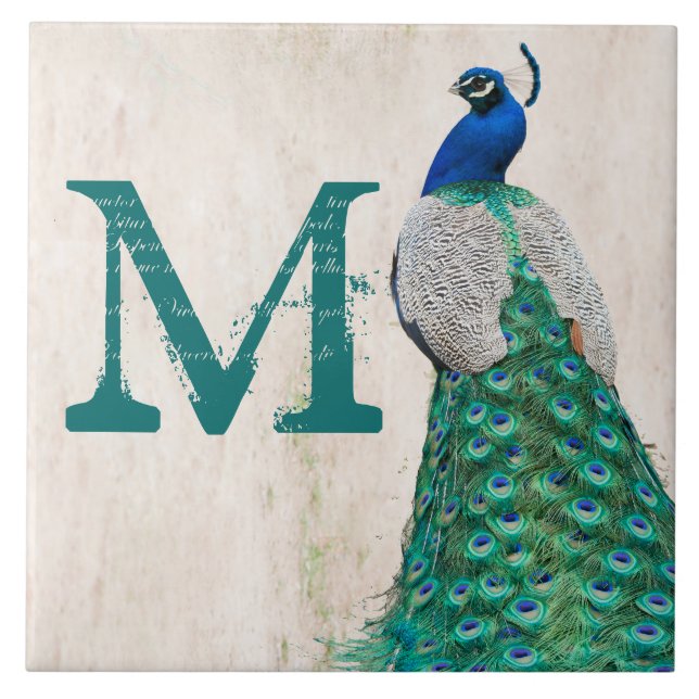 Peacock Bird Feather Teal Monogram Display Tile (Front)