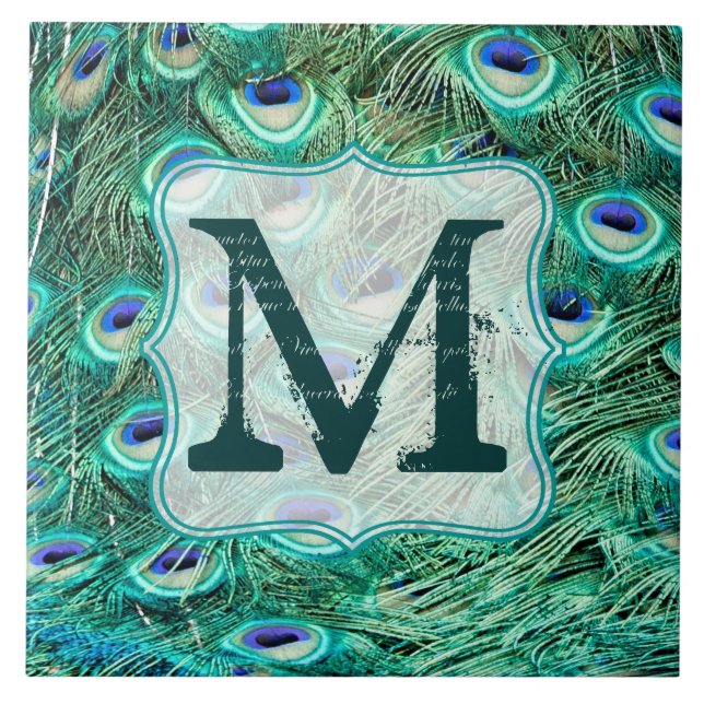 Peacock Bird Feather Teal Monogram Display Tile (Front)