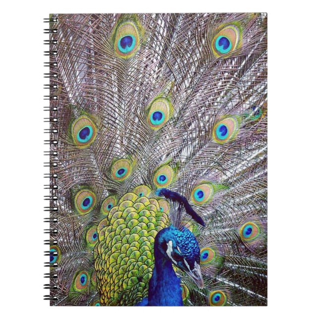 Peacock bird feathers spiral notebook (Front)