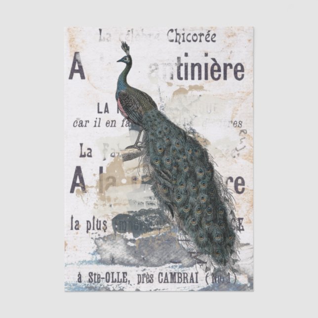 Peacock Bird French Typography Ad Blue Decoupage   Tissue Paper (Front)