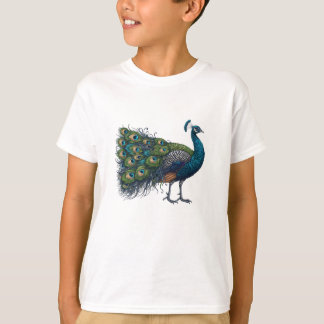 Peacock bird Kids Basic T-Shirt