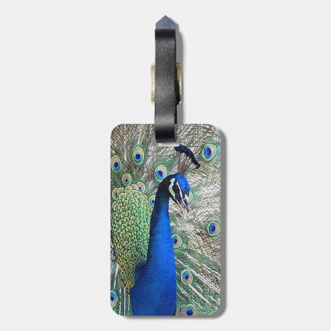 Peacock Bird Luggage Tag (Back Vertical)