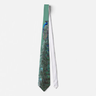 Peacock Bird Tie