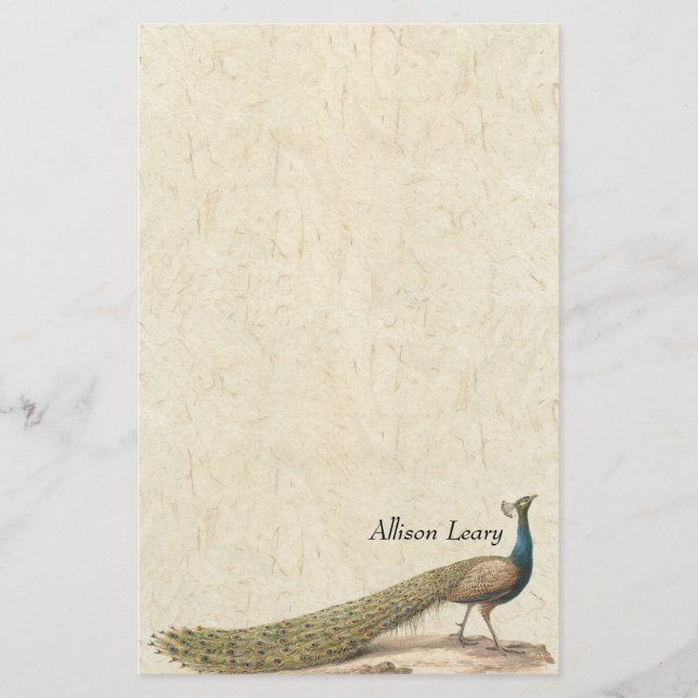 Peacock Bird Wildlife Animals Stationery (Front)