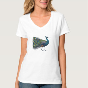 Peacock bird Womens V-Neck T-Shirt