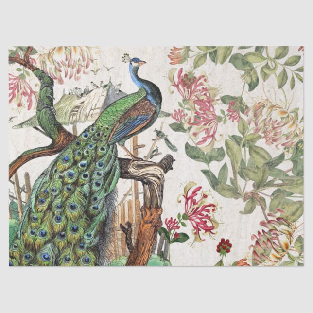 Peacock Birds Honeysuckle Flowers Tissue Paper (Front)
